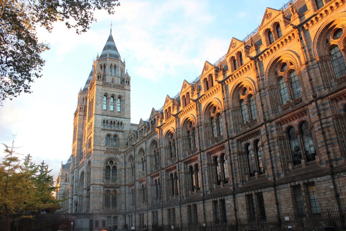 Roteiro de 4 dias por Londres - Museu de História Natural