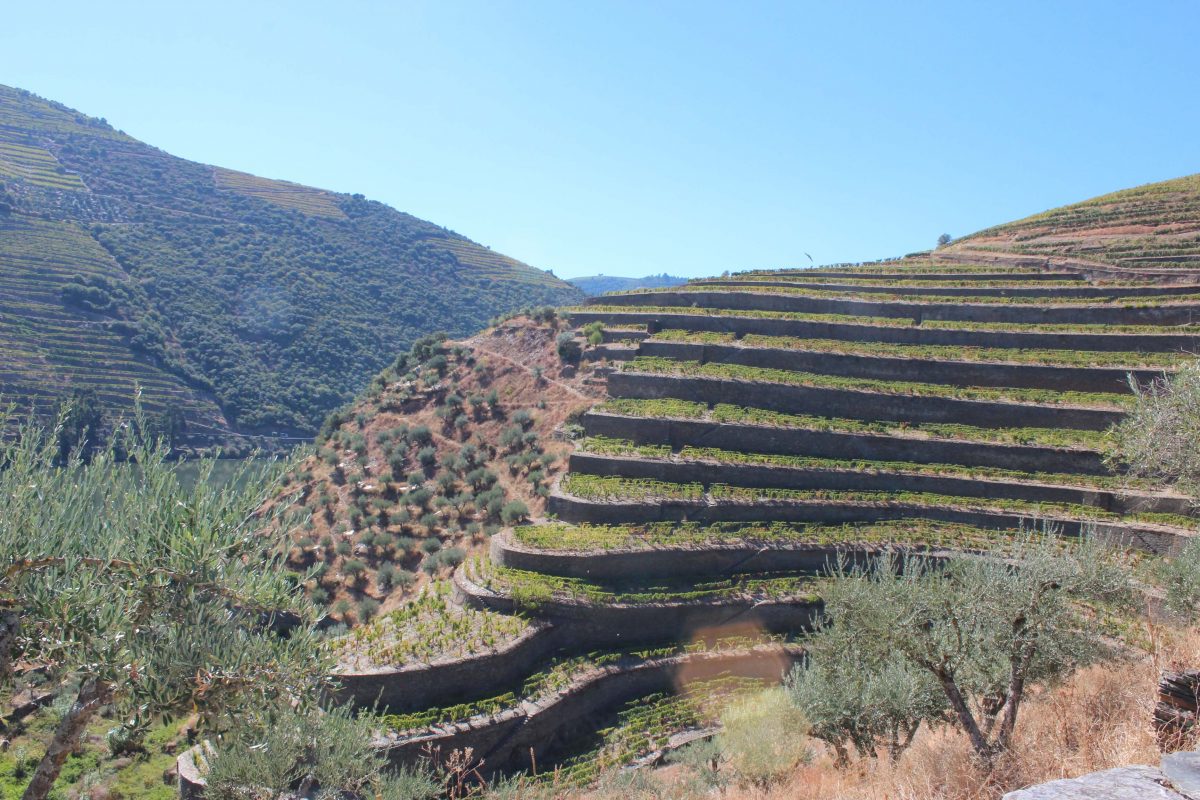 Descobrir a Quinta da Covela