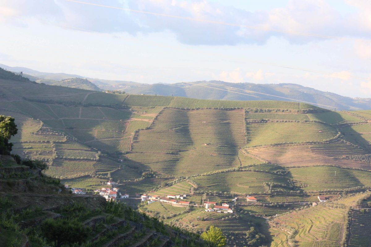 Descobrir a Quinta do Bom Retiro