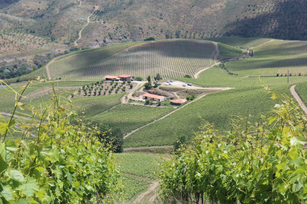 Descobrir a Quinta da Ervamoira