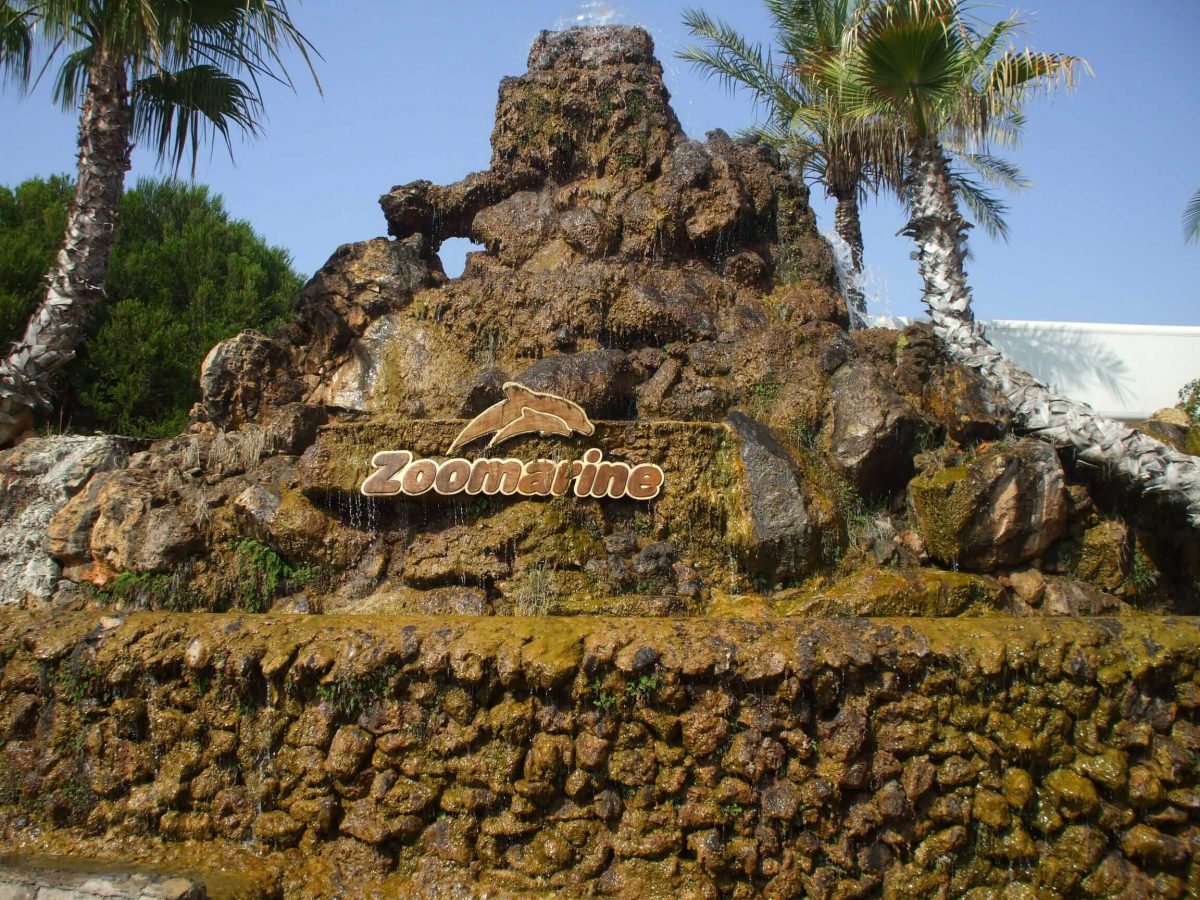 Descobrir o zoomarine