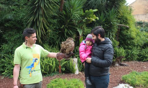 Descobrir o Jardim Zoológico de Lisboa