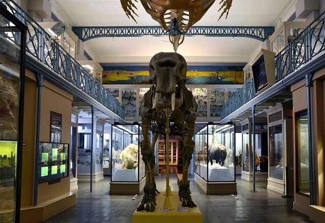 Museu de História Natural de Paris
