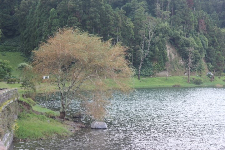 Lagoa Verde