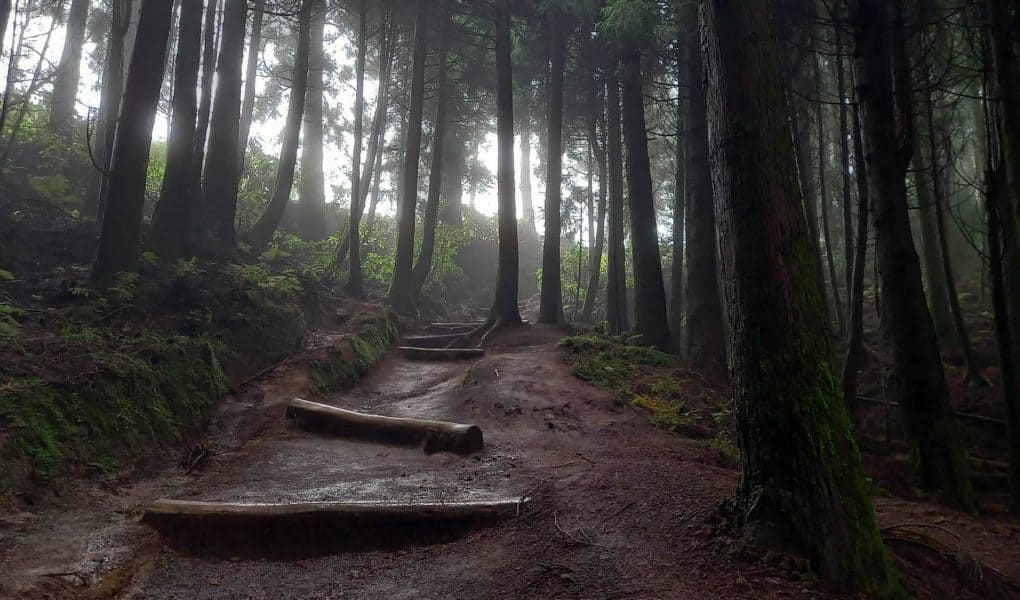 Ecoturismo em portugal - Maravilhas Naturais de São Miguel