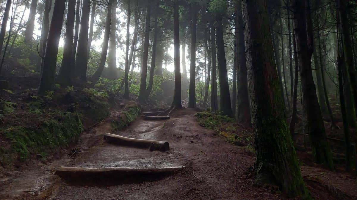 Ecoturismo em portugal - Maravilhas Naturais de São Miguel