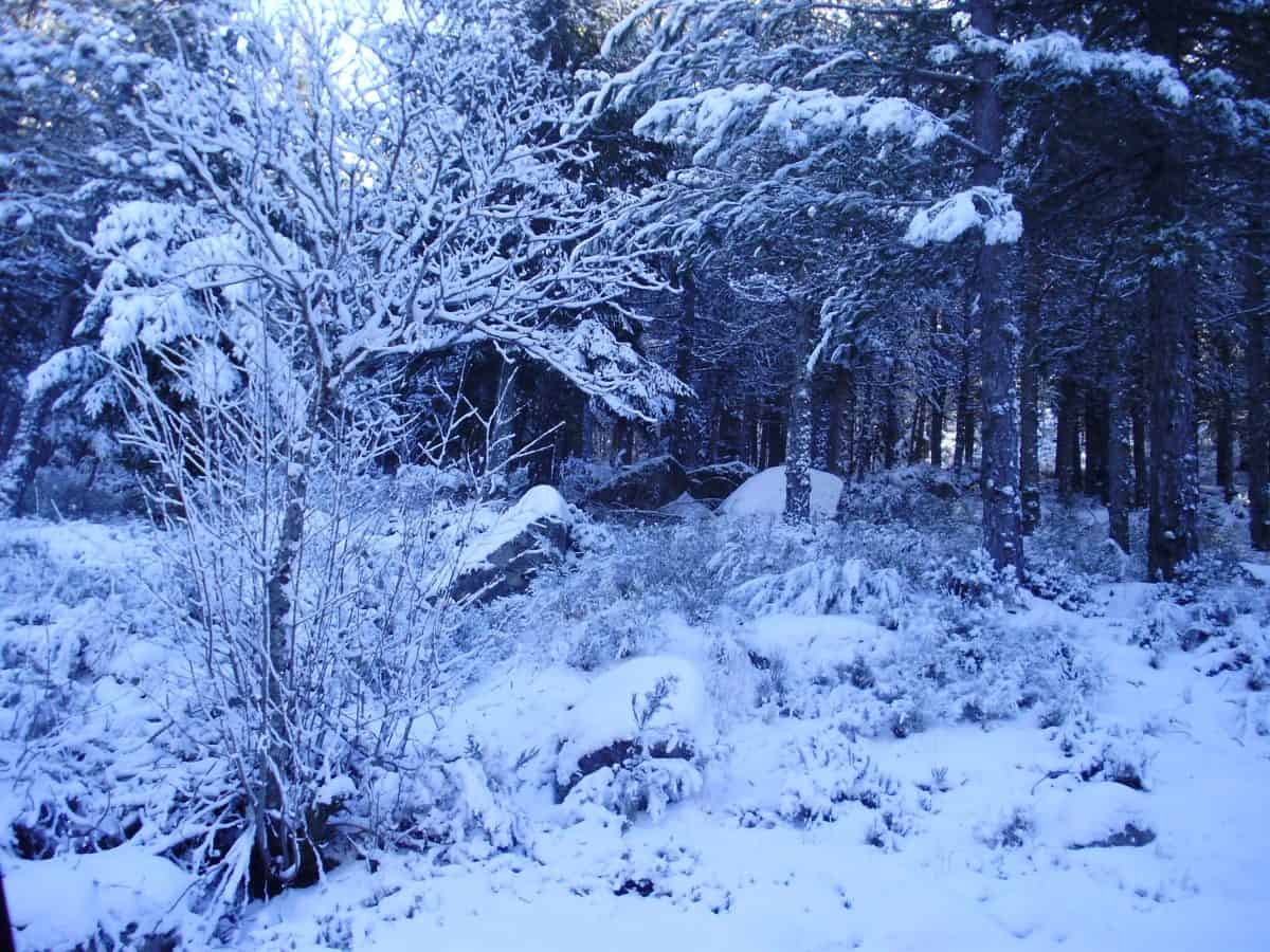 Visitar a Serra da Estrela