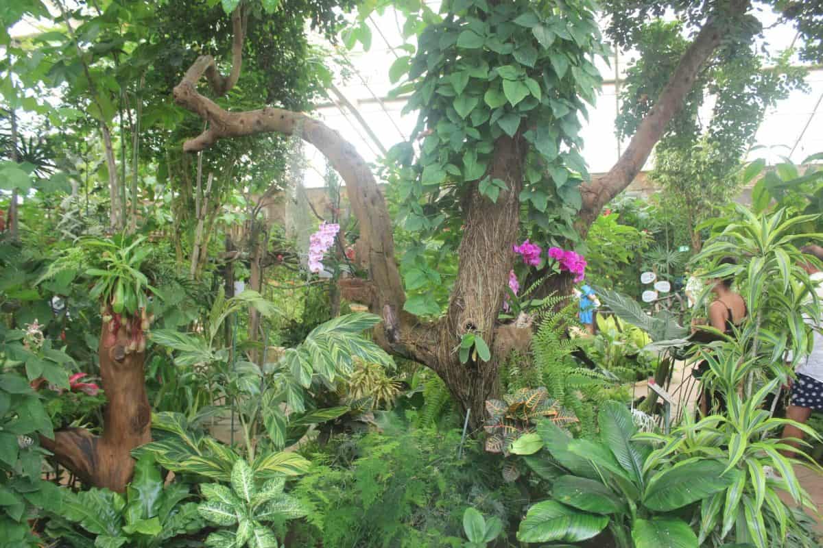 O que fazer na Andaluzia com crianças