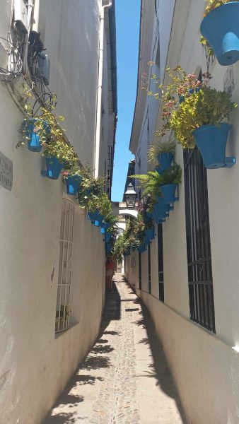 Calleja de las Flores