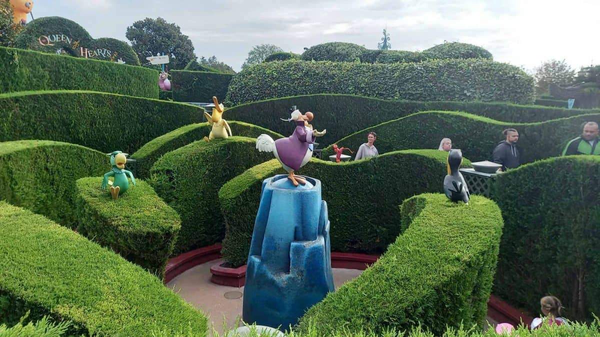 Alice's Curious Labyrinth 
