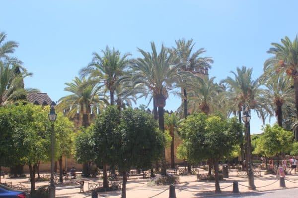 Jardim junto ao Alcazar