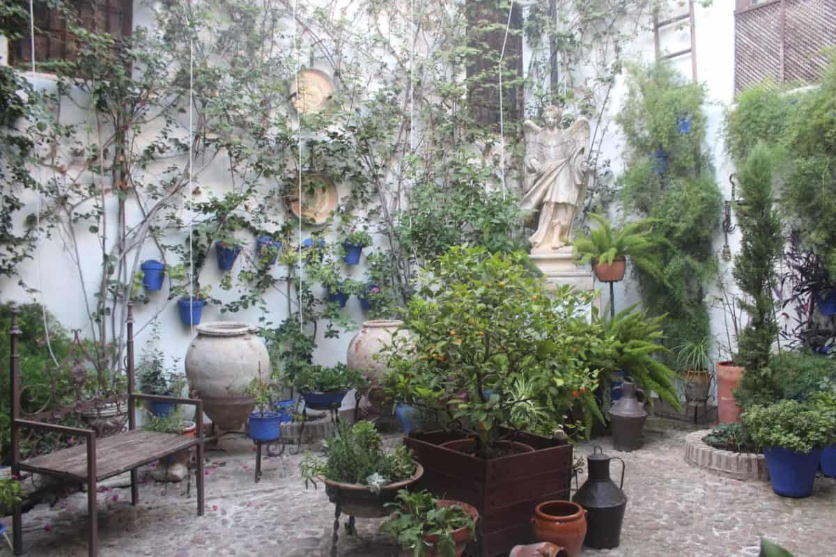 Pátios de Córdoba