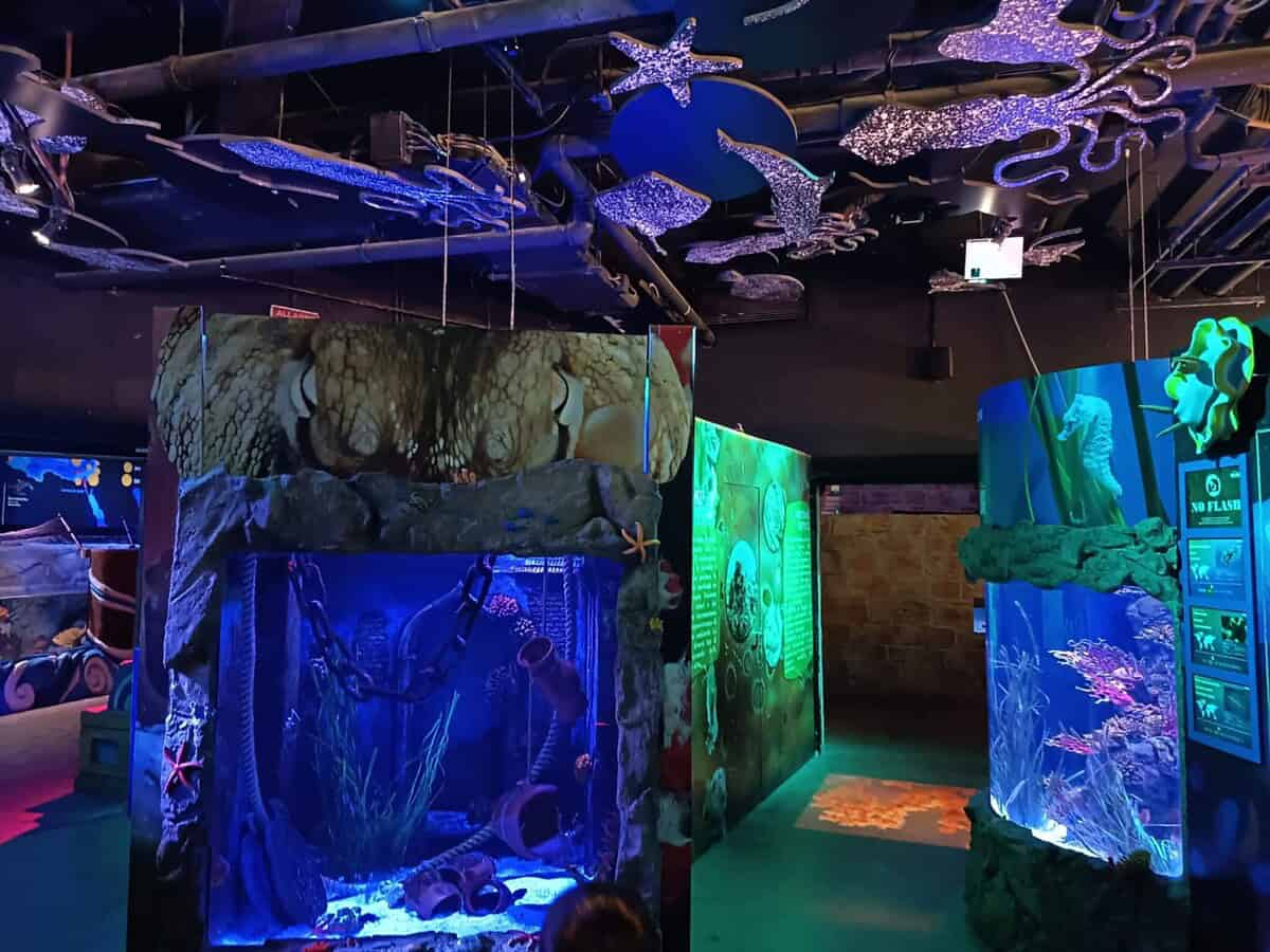 Uma das áreas do Sea Life