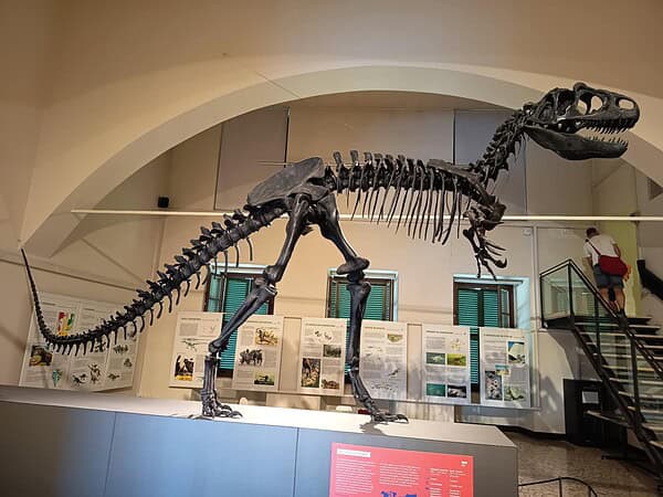 Secção de Dinossauros na Coleção Ciências da Terra