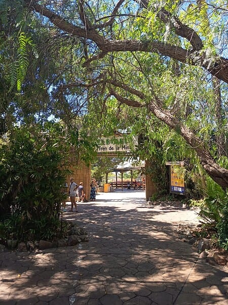Entrada para o El Diablo – Tren de la Mina