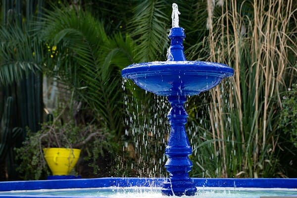 Pormenor do Jardim